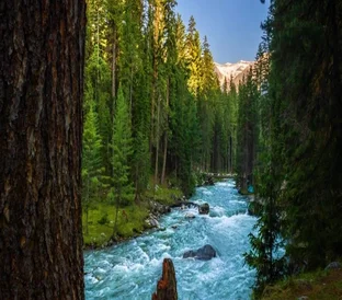 667ccf9570 min qkrk9tjn2ay8c9u5npoiwvmu7rafvdwc75k7zioubs 1